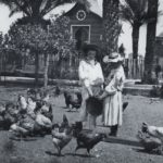 Les filles de Martí i Codolar a la Granja Vella, donant de menjar a les gallines, 1892. (MMC). 