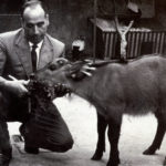 Antoni Jonch i Cuspinera. (AMGr).