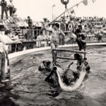 Arribada de l'Orca Ulisses al Zoo, 1983. (APZB).