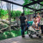 Visita guiada a les instal·lacions del Zoo. (APZB).